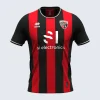 Ingolstadt Maillot Home 24/25