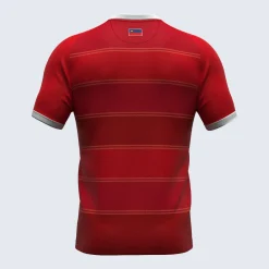 Liechtenstein Maillot Away 24-26